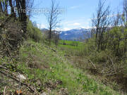 Terrain à SAINT-CREPIN