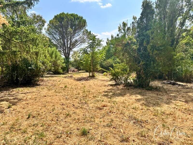 Terrain constructible de 1 700m² viabilisé avec vue sur les Pyrénées - photo 2