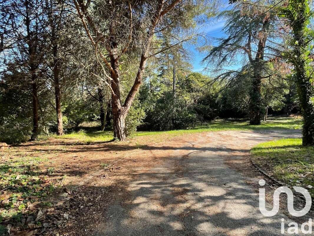 Photo 5 - Maison à DEYME