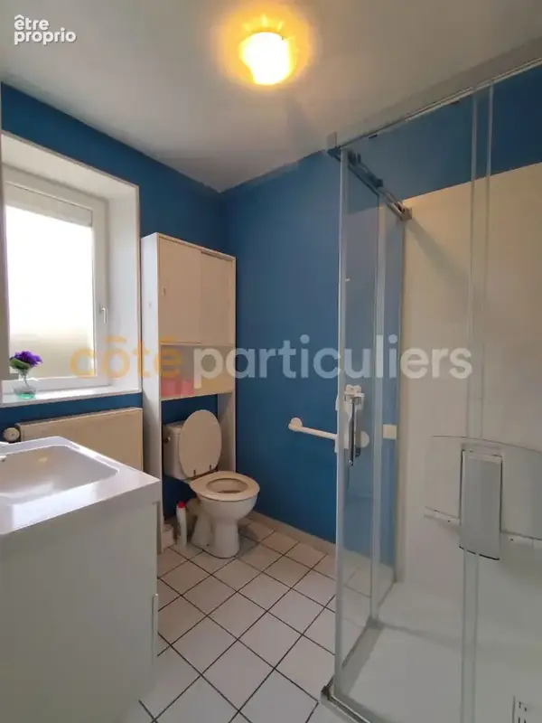 Maison mitoyenne de 3 chambres avec sous-sol et garage à Tavaux - photo 12