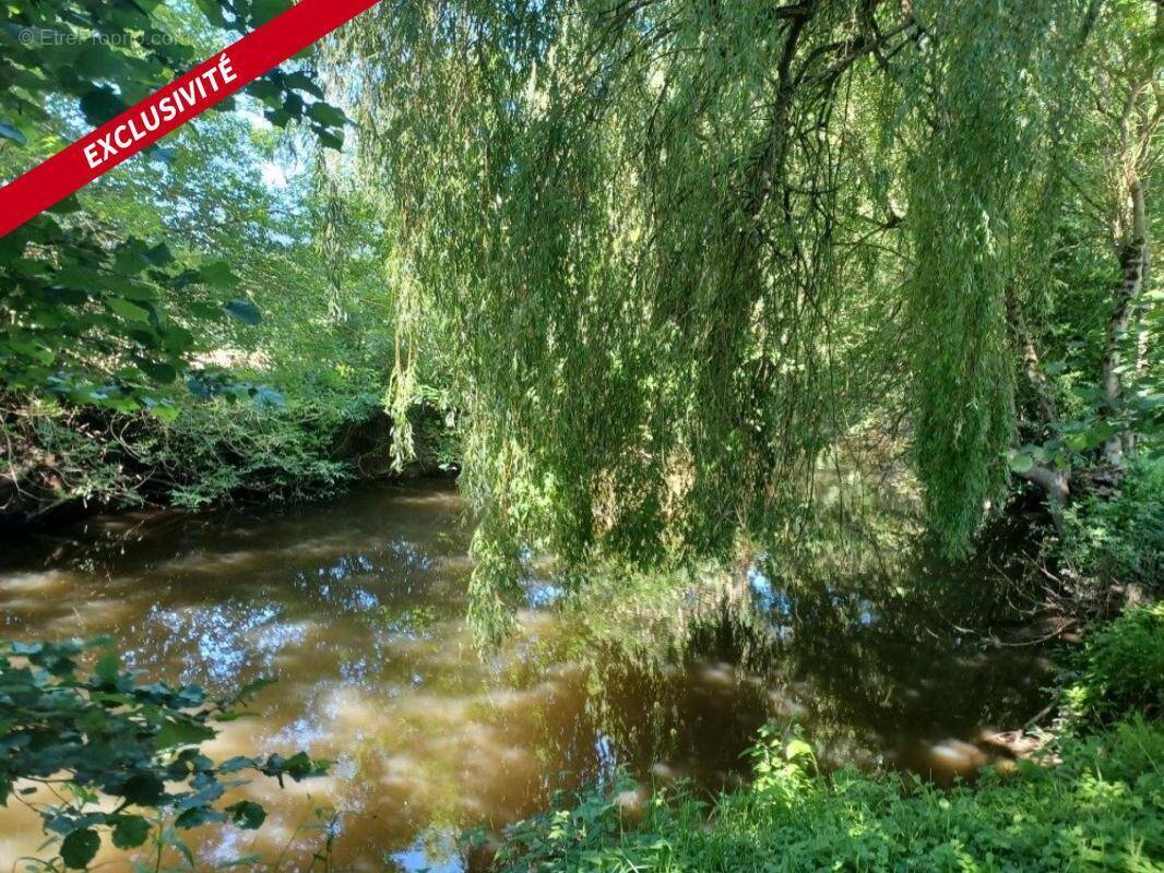 Terrain à JOUE-SUR-ERDRE