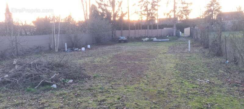 Terrain de loisirs - photo 7