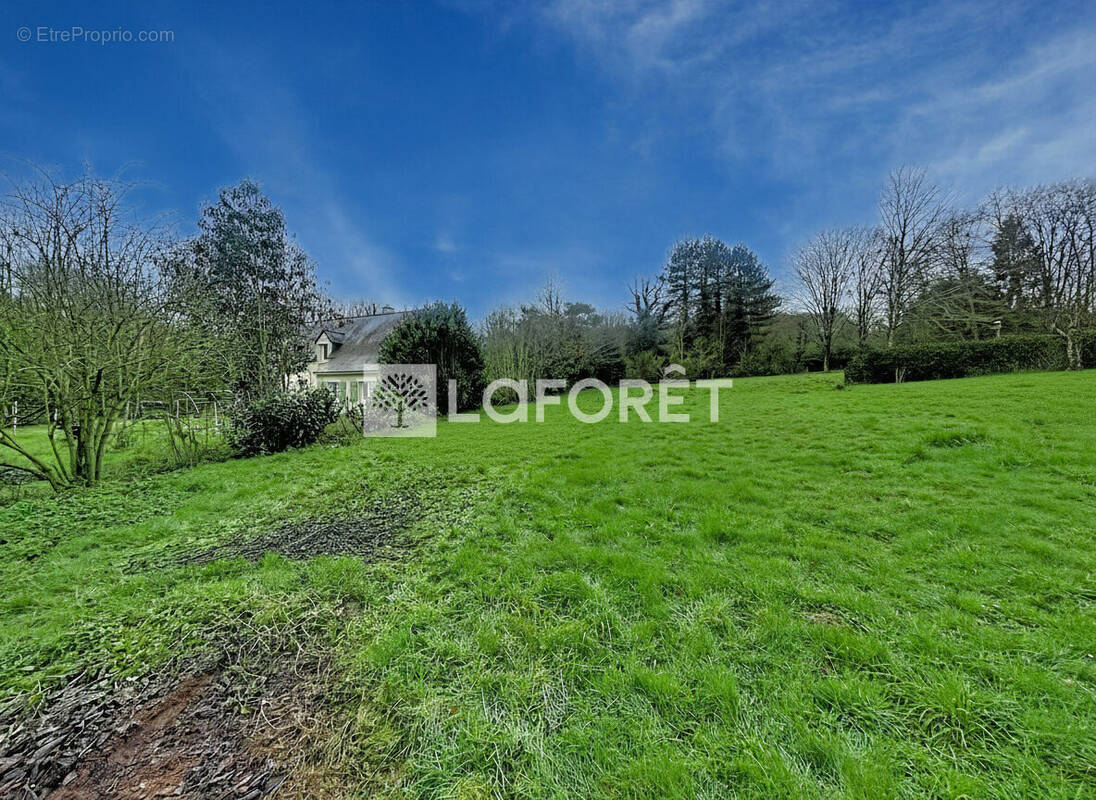 Terrain à SAINT-NICOLAS-DE-REDON