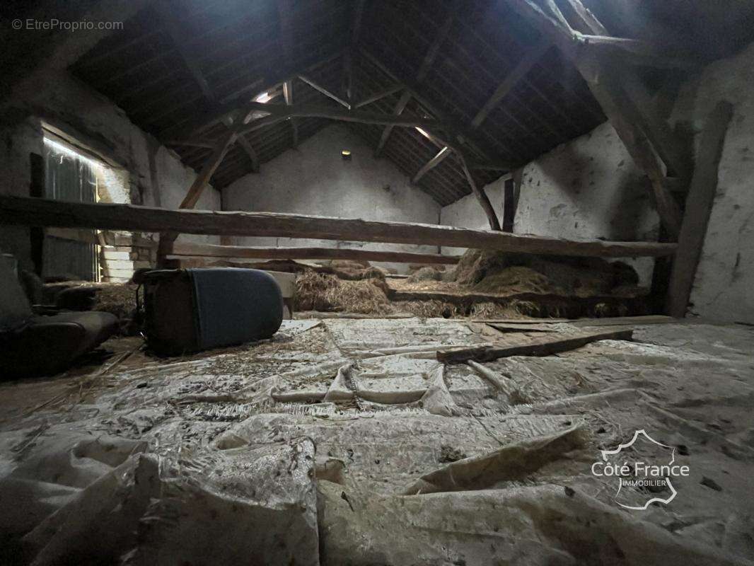 corps de ferme à rénover au coeur de la campagne bourguignonn - photo 6