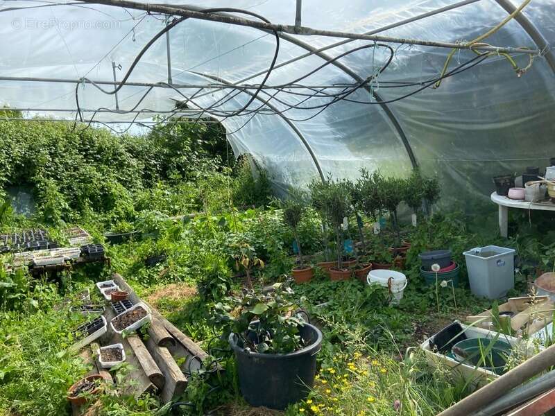 Maison à SAINTE-SCOLASSE-SUR-SARTHE