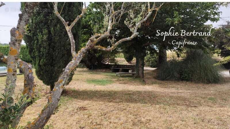 Propriété à vendre 14 pièces CHANTEMERLE LES GRIGNAN (26) - photo 31