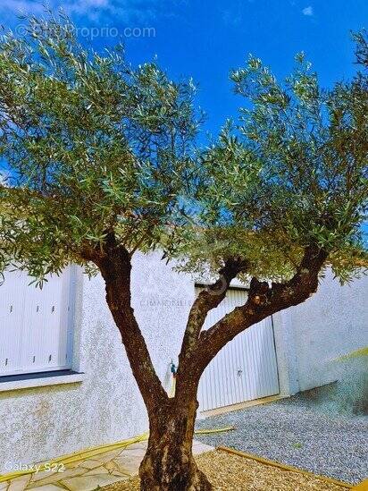 Maison à CROIX-CHAPEAU