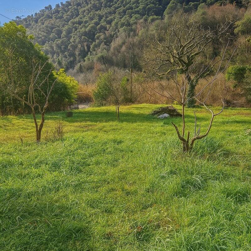 Terrain à TOURRETTE-LEVENS