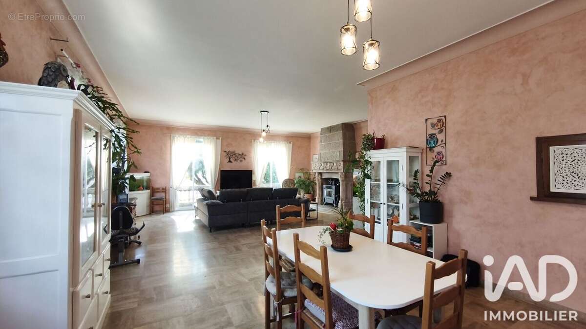 Maison 238 m² à Craponne-Sur-Arzon  - photo 5