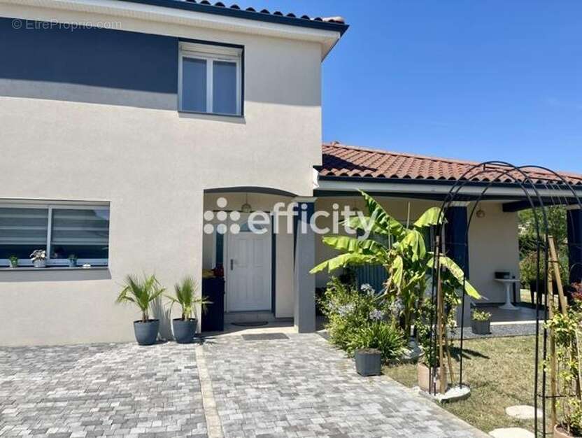 Maison 167 m² à Saint-Maurice-L'exil  - photo 23