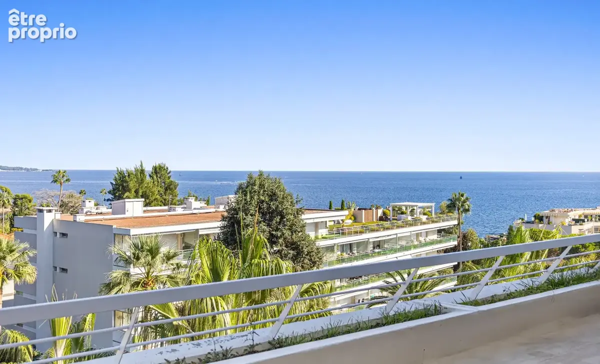 Cannes basse californie - photo 20