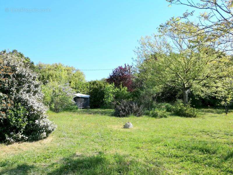 Maison à SAINTE-LIVRADE-SUR-LOT