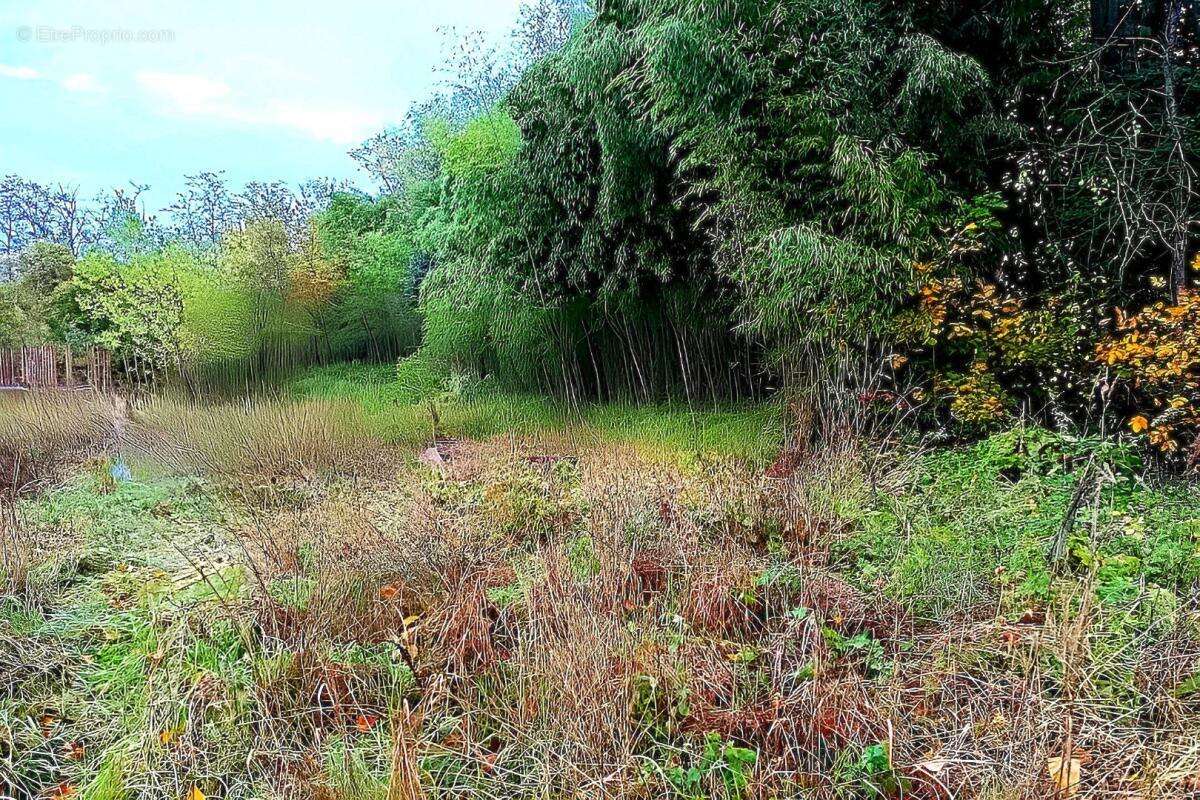 Terrain à LESCURE-D'ALBIGEOIS