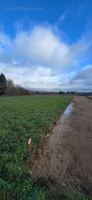 Terrain à LE PALAIS-SUR-VIENNE