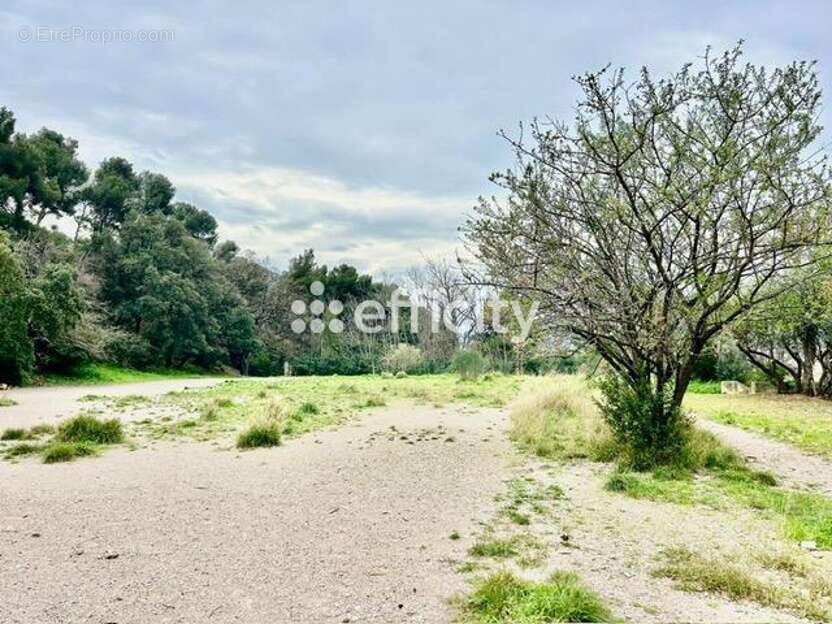 Appartement à MARSEILLE-10E