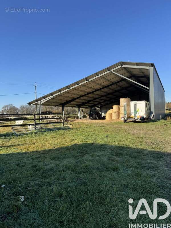 Photo 4 - Maison à CREON-D'ARMAGNAC