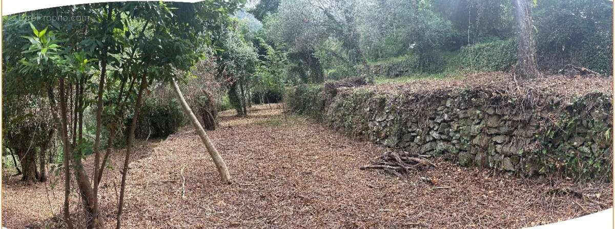 Levens - duranus - terrain 1902 m2 constructible - photo 7