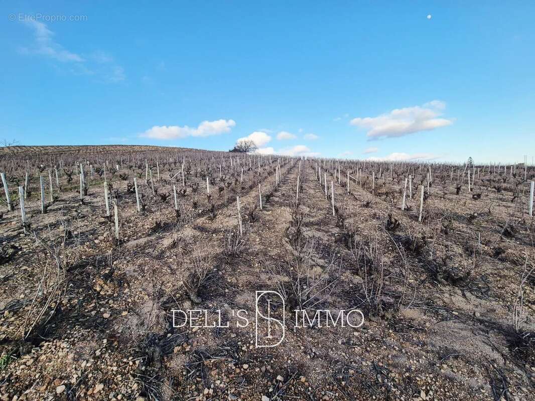 Terrain à VILLIE-MORGON
