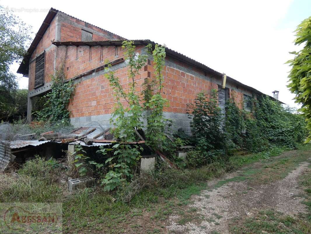 Commerce 343 m² à Cordes-Sur-Ciel  - photo 9