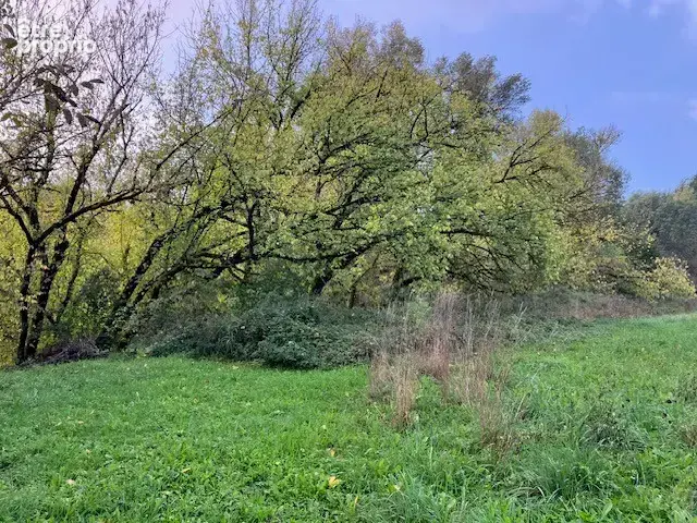Terrain en bord de la Dordogne à Pechs-de-l'Espérance - 6370m2 - photo 2