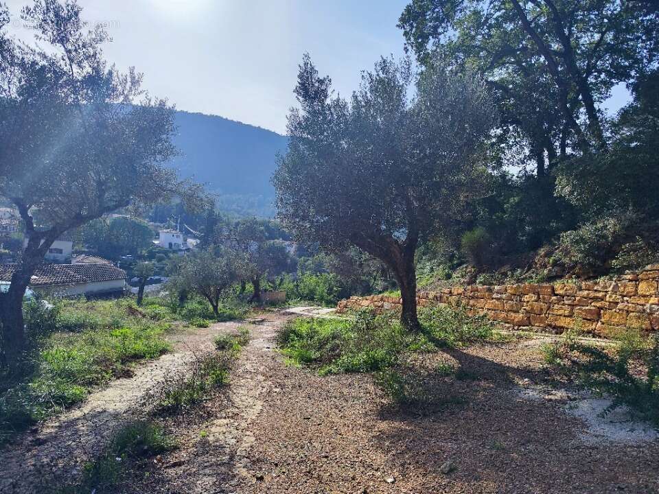 Terrain à SOLLIES-TOUCAS