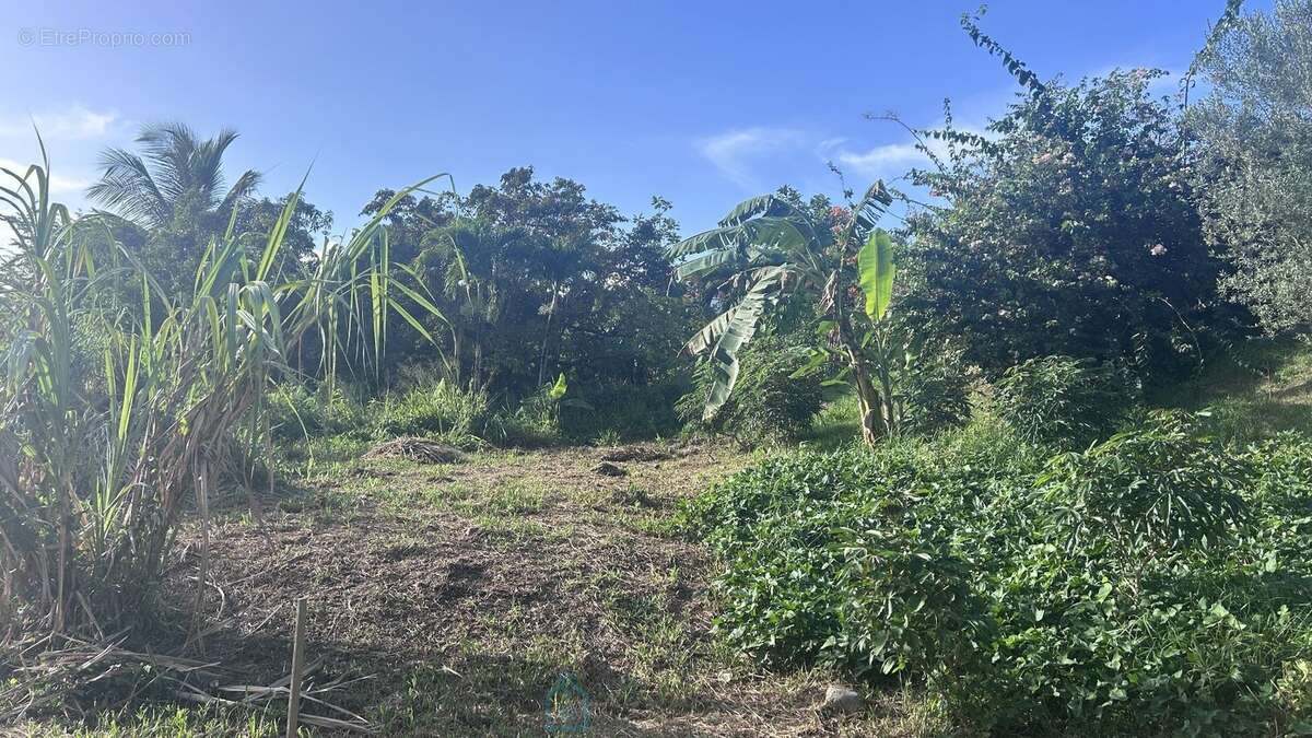 Terrain à RIVIERE-SALEE