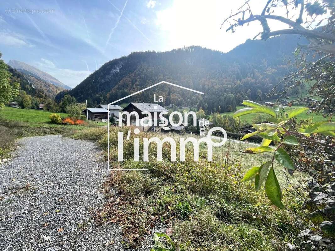 A vendre 2 parcelles de terrain abondance - photo 3