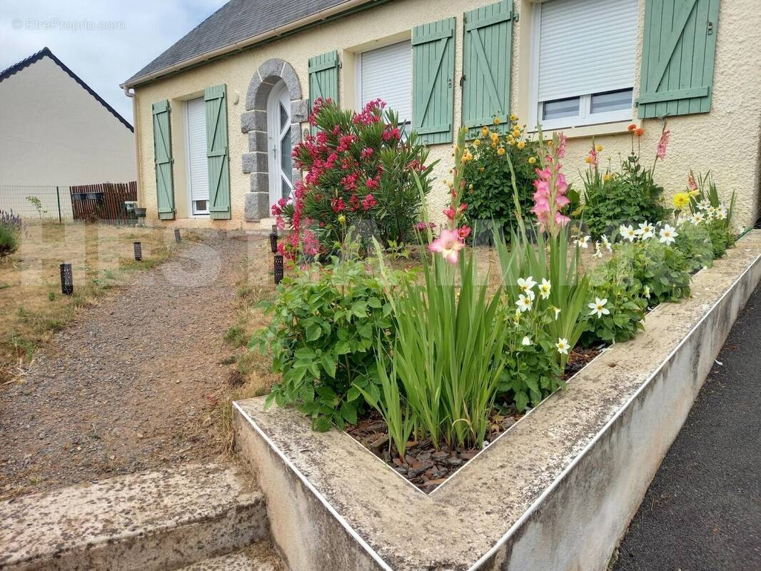 20250628_115953 - Maison à SAINT-MARS-LA-JAILLE