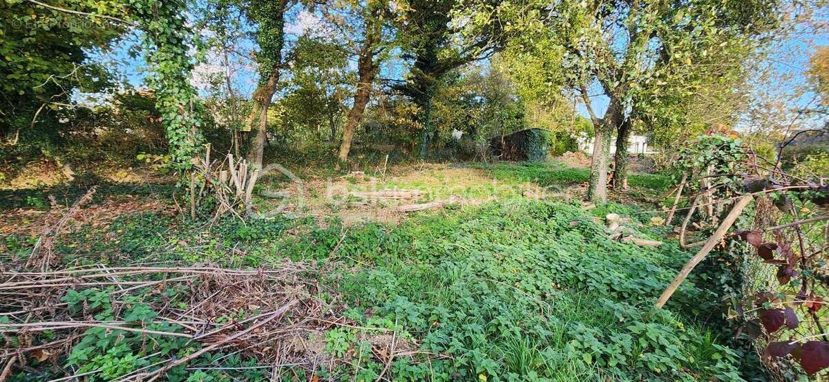 Terrain à CHANTELOUP