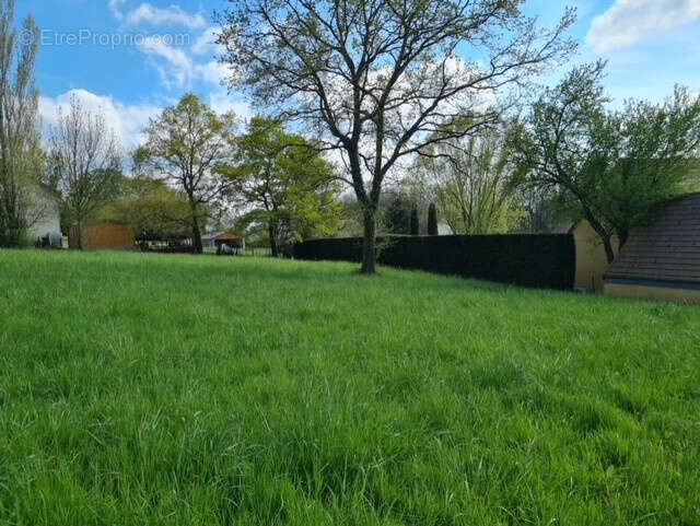 Terrain à ALLERIOT