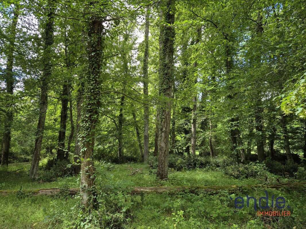 CHATEAU NEOGOTHIQUE 30 pièces,16 Chambres 5,7 ha!!! - photo 26