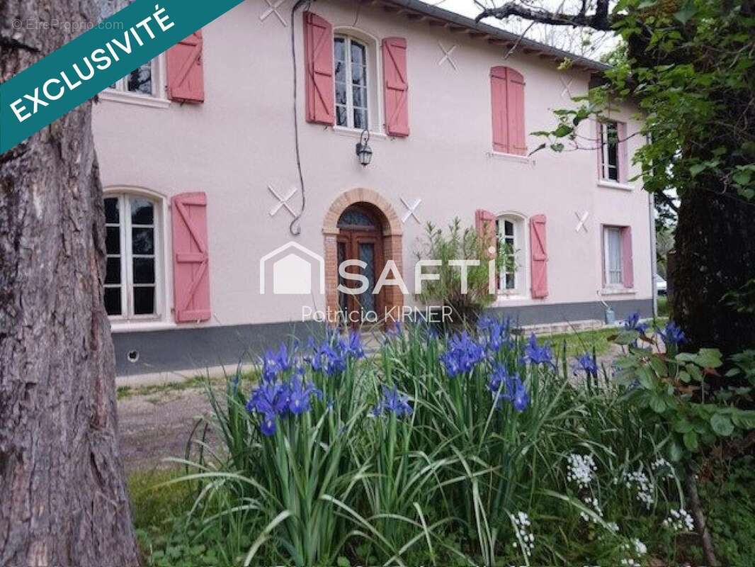 Photo 2 - Maison à LISLE-SUR-TARN