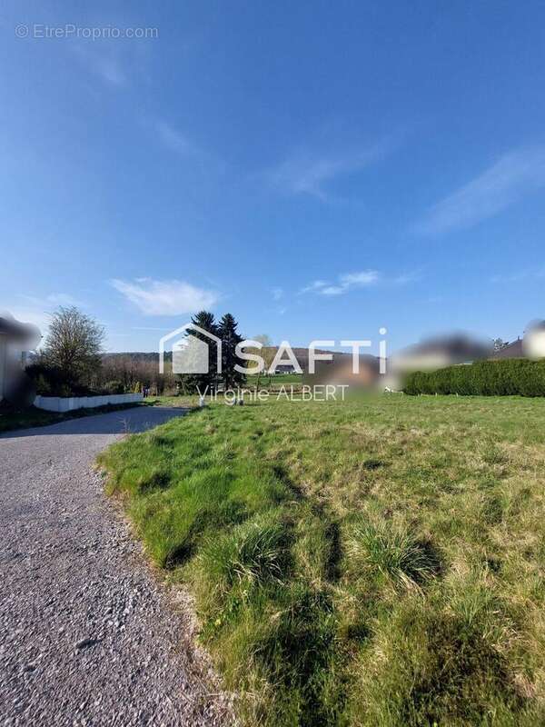 Photo 2 - Terrain à LONGEVILLE-LES-SAINT-AVOLD