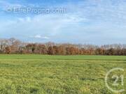 Terrain à MONTESQUIEU-LAURAGAIS