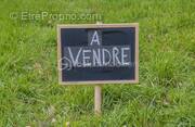 Terrain à LA FERTE-BERNARD