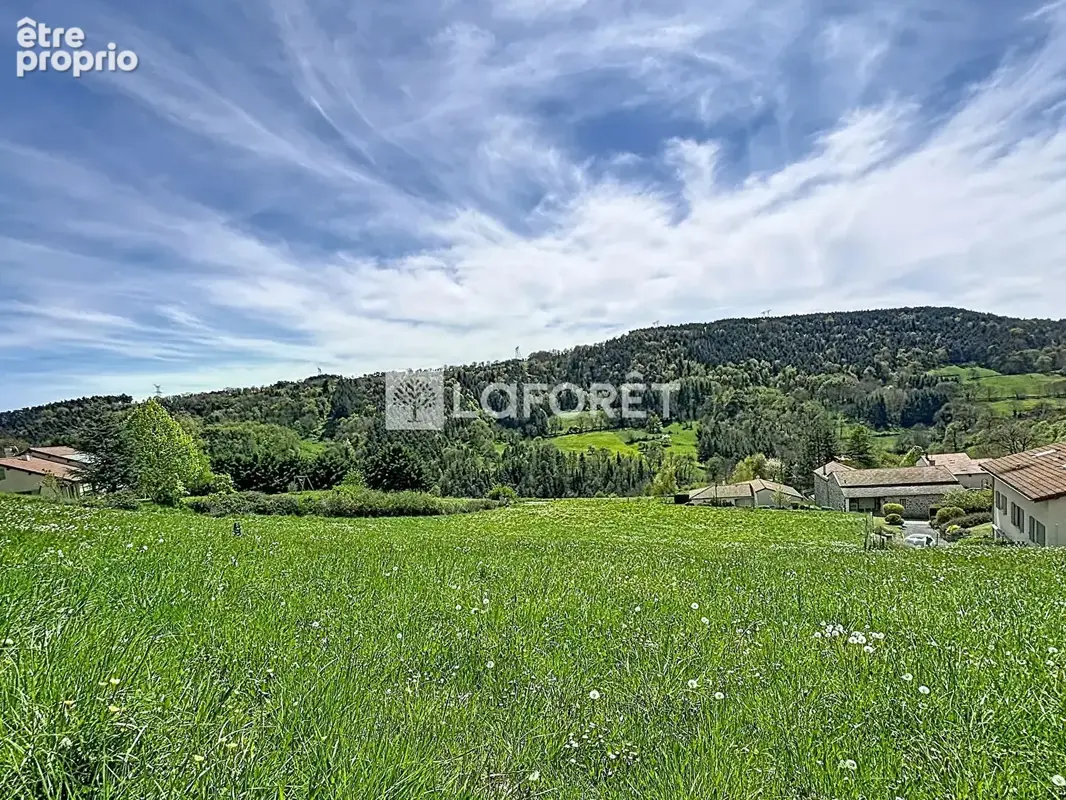 Terrain à POLIGNAC