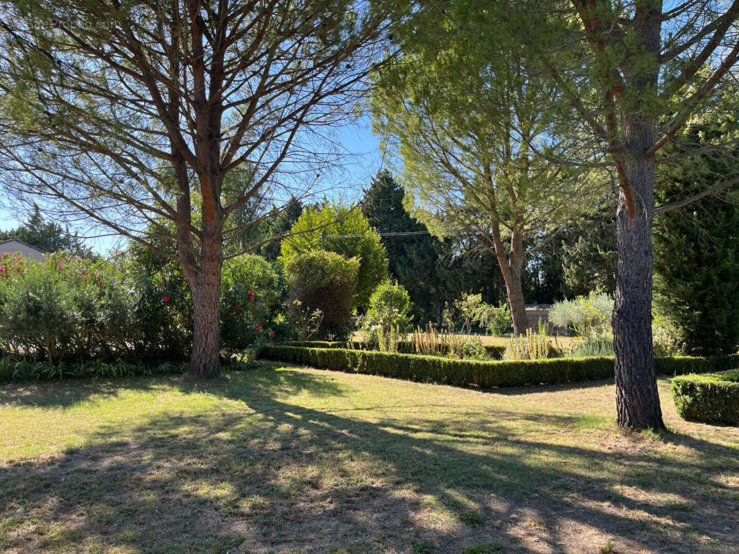 Maison à L'ISLE-SUR-LA-SORGUE
