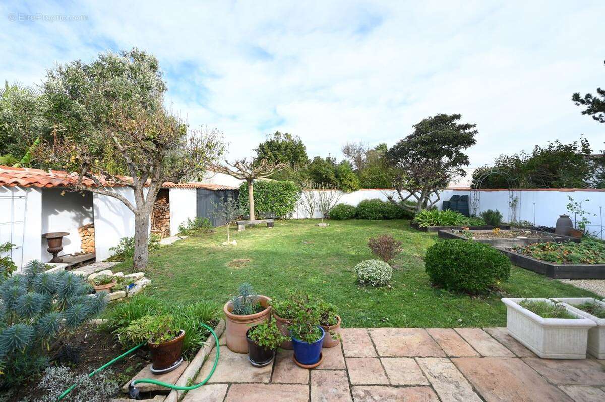 Exclusivité - Saint Martin de Ré - photo 8