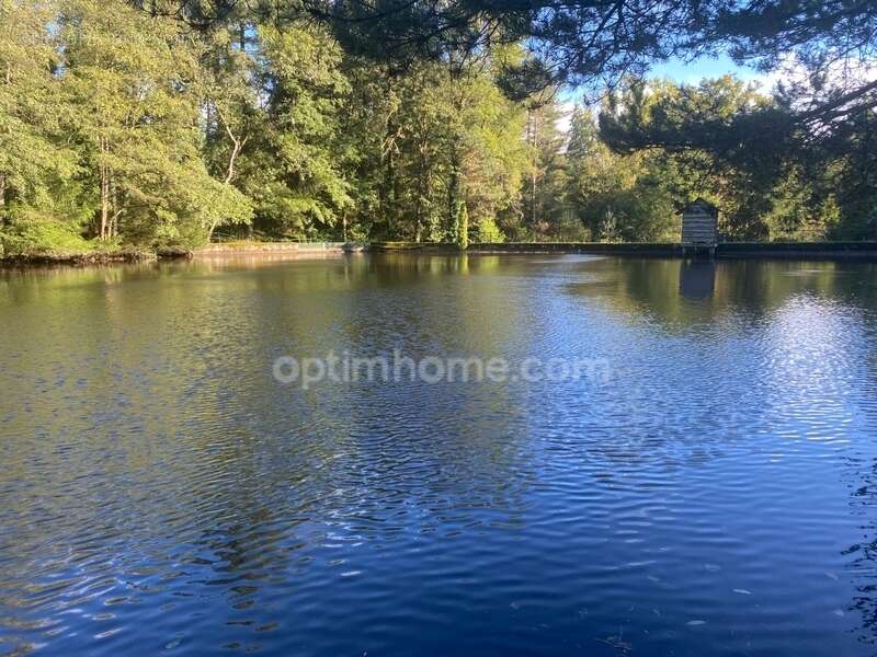 Propriete de charme - photo 16