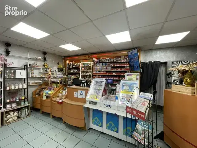 Bien immobilier à vendre à Saint-Avold (57500) - photo 2