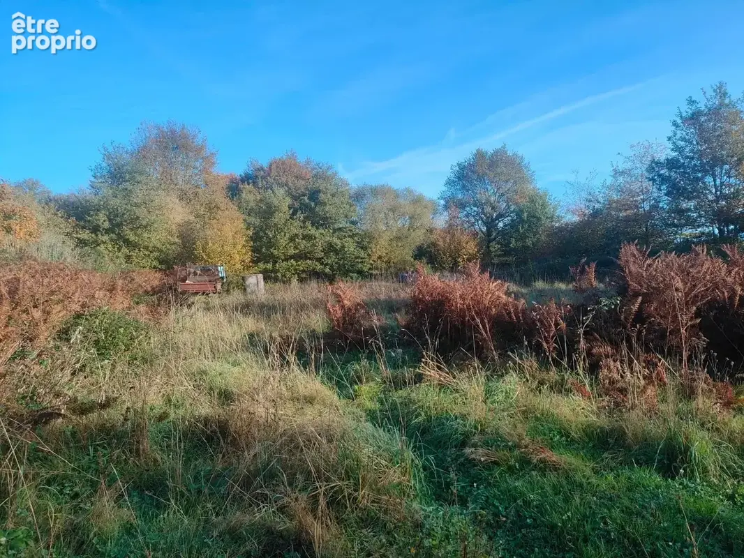 Maison 80 m² à vendre à Saint-Cyr (87310) - photo 2