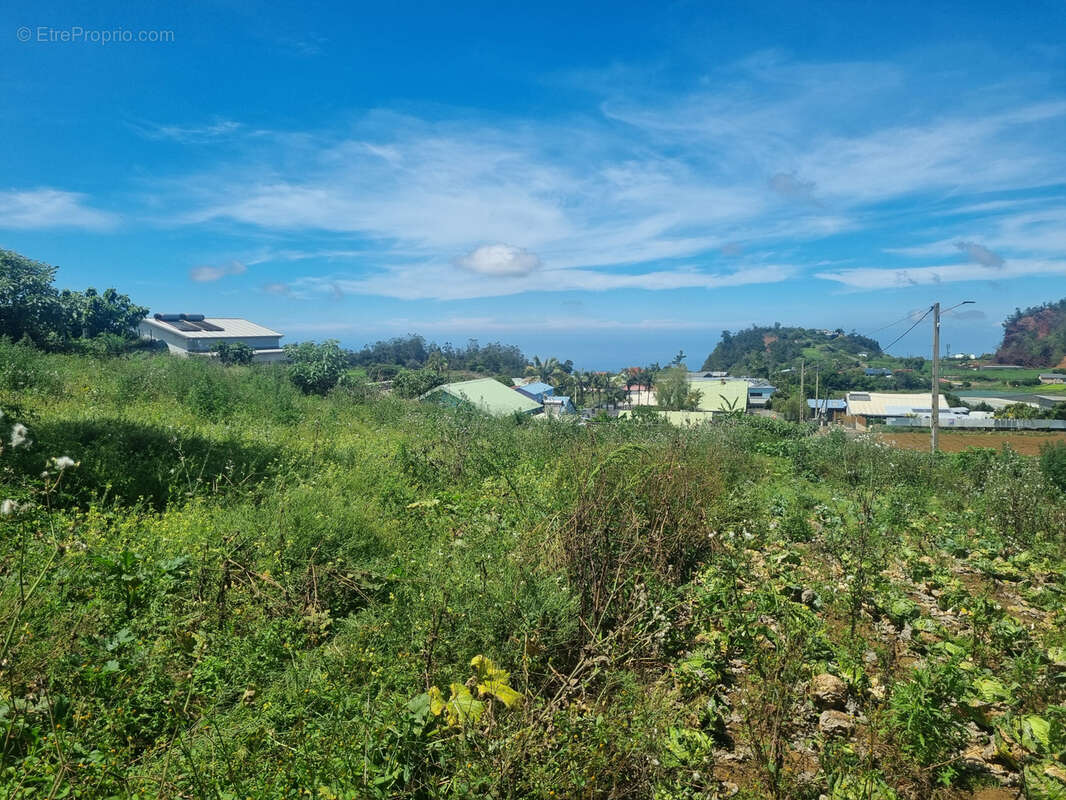 Terrain à SAINT-PIERRE