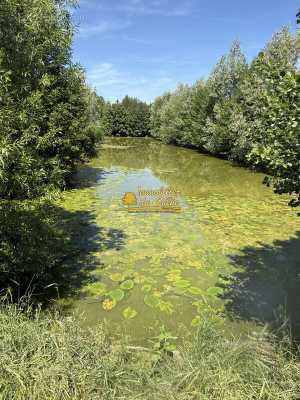 Maison 88 m² à Magny-Vernois  - photo 2