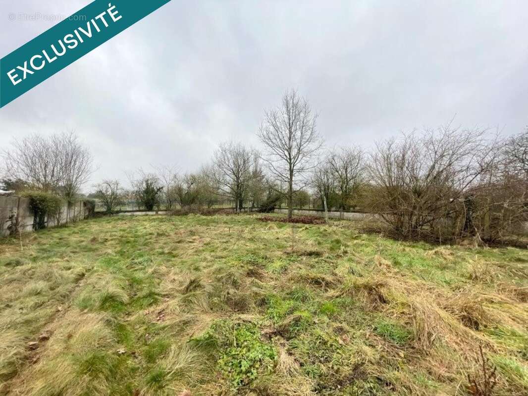 Photo 3 - Terrain à PHALEMPIN