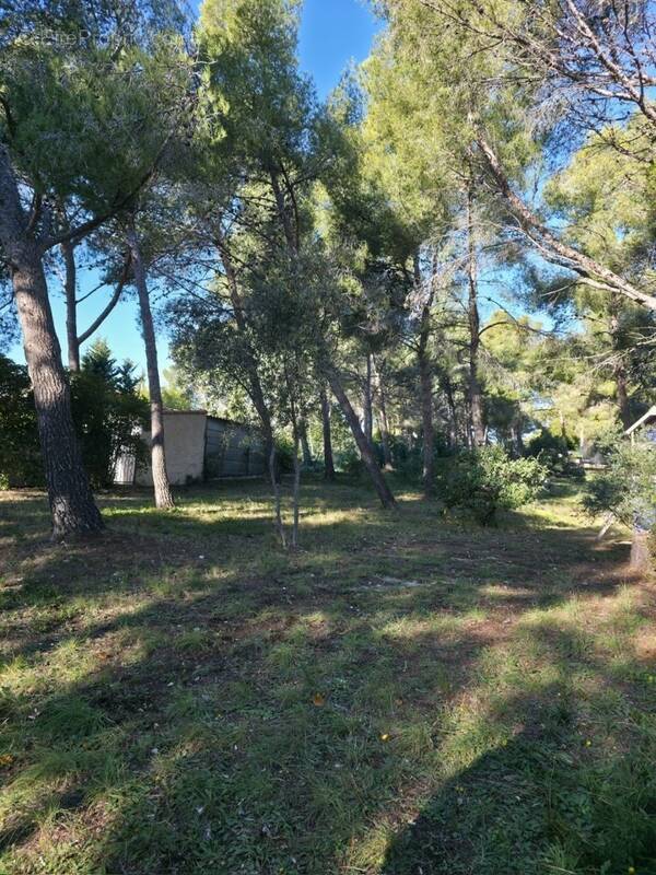 Terrain à SAUSSET-LES-PINS