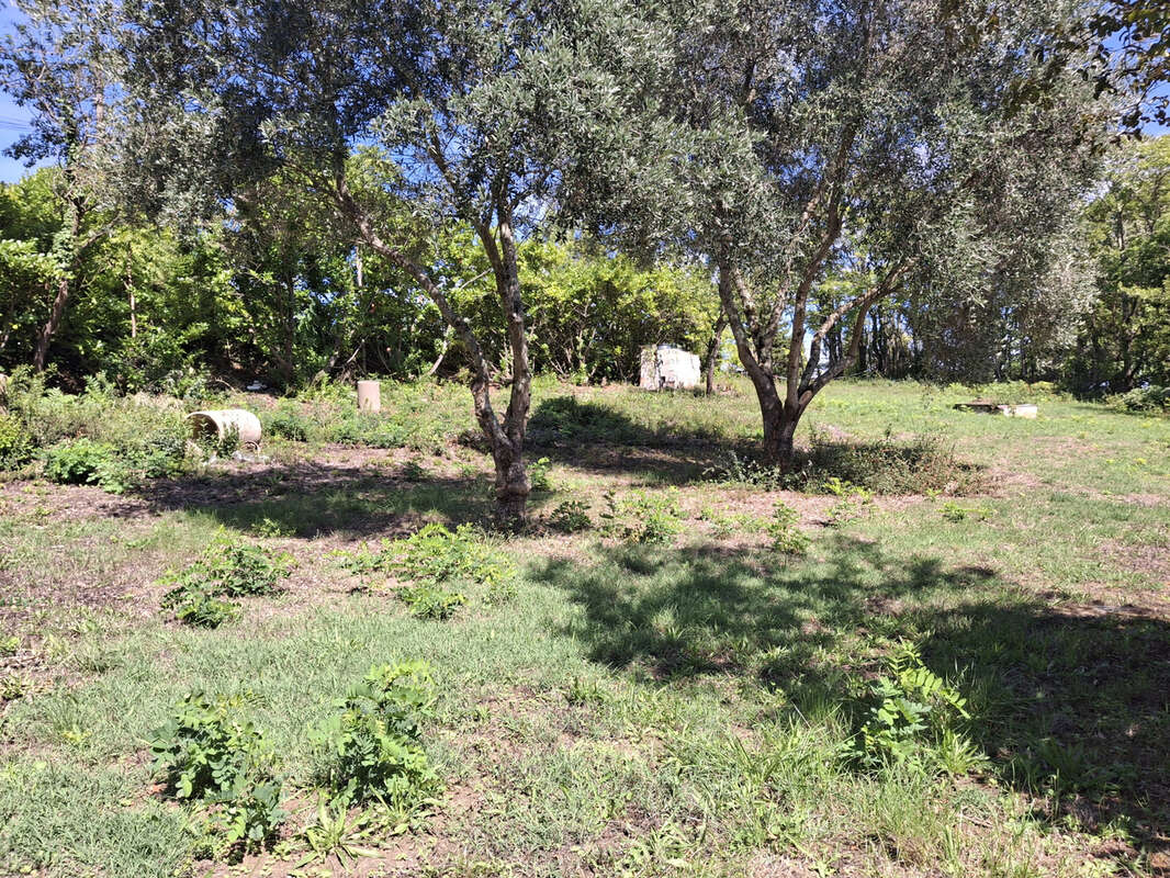 Terrain à PECHABOU