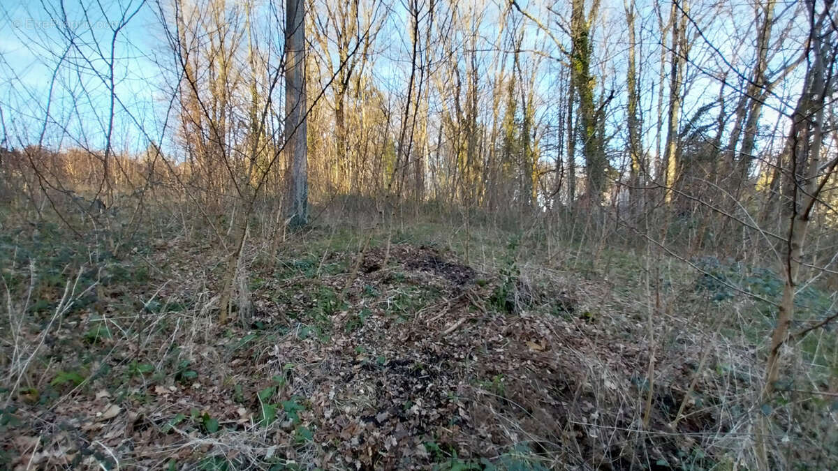 Terrain à CHATEAU-L'EVEQUE