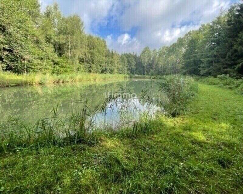 Vente plan d'eau 54480  Cirey Sur Vezouze - photo 5