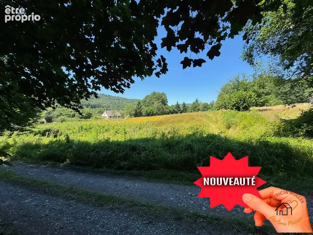 Terrain 13 451 m² à vendre à Les Hautes-Rivieres (08800) - photo 4