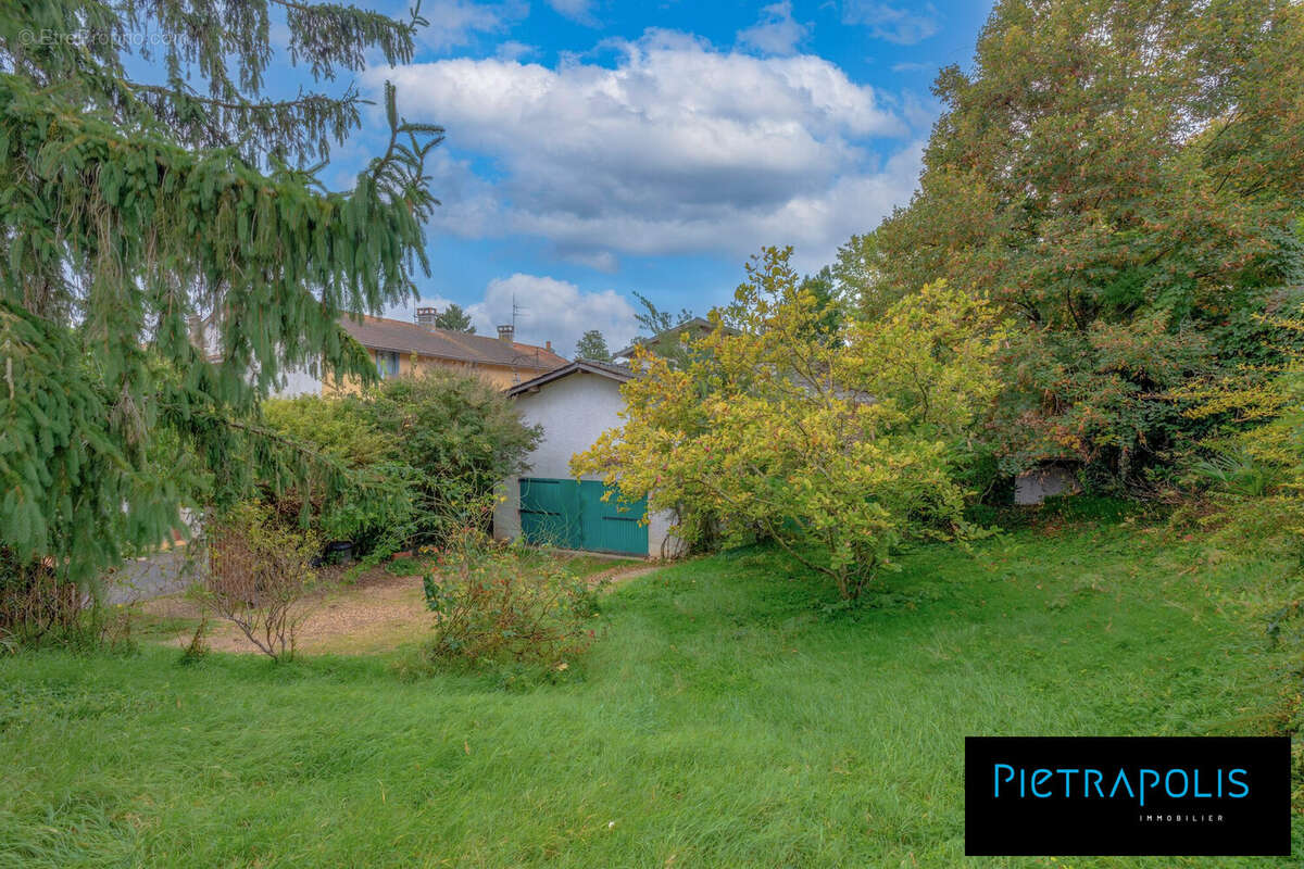 Maison à NEUVILLE-SUR-SAONE